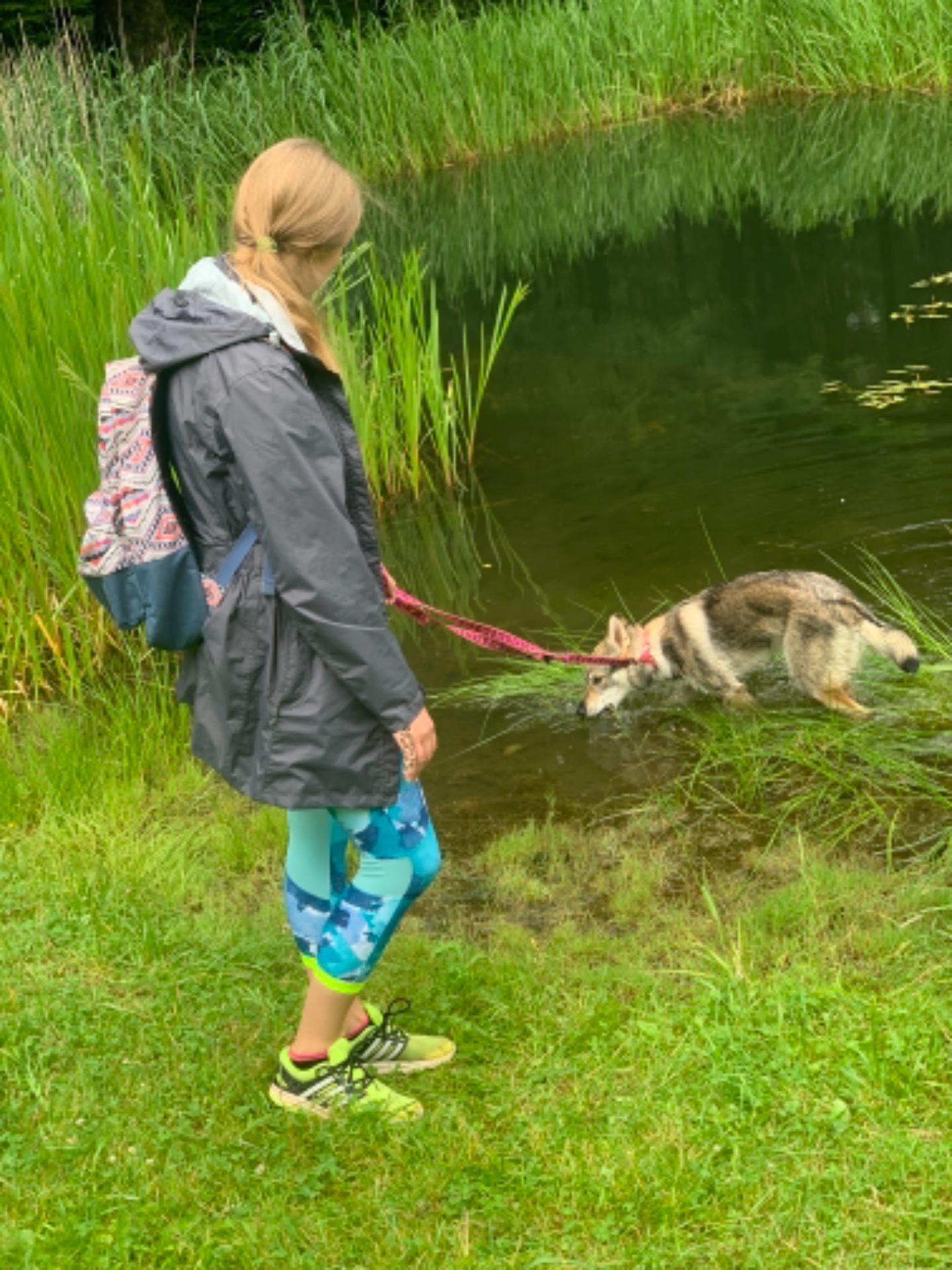 krásné jezírko pro chlupáče